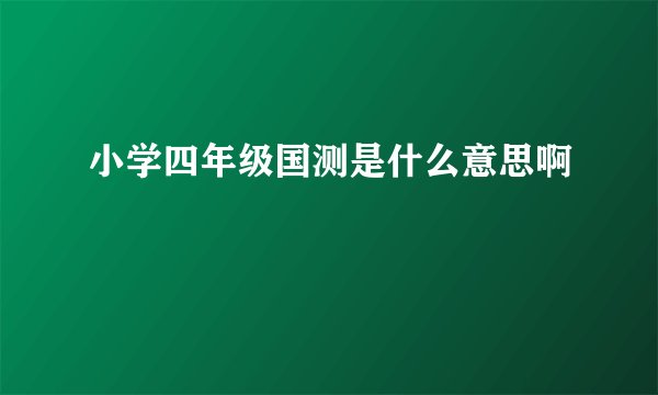 小学四年级国测是什么意思啊