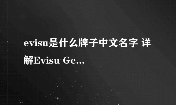 evisu是什么牌子中文名字 详解Evisu Genes品牌相关信息