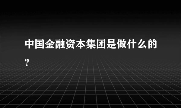 中国金融资本集团是做什么的？