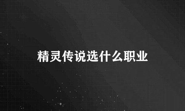 精灵传说选什么职业