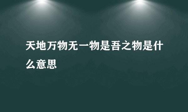 天地万物无一物是吾之物是什么意思