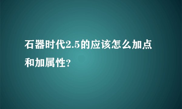 石器时代2.5的应该怎么加点和加属性？