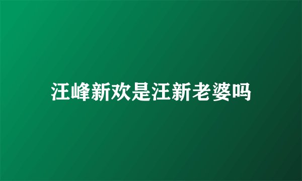 汪峰新欢是汪新老婆吗