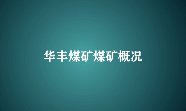 华丰煤矿煤矿概况