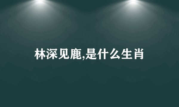 林深见鹿,是什么生肖