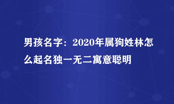 男孩名字：2020年属狗姓林怎么起名独一无二寓意聪明