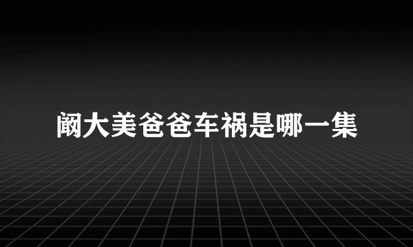 阚大美爸爸车祸是哪一集