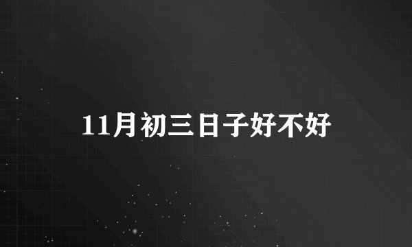 11月初三日子好不好