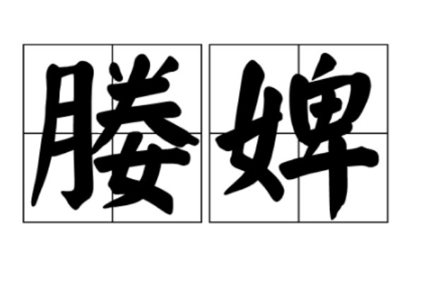 媵婢什么意思