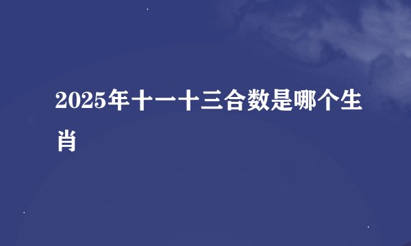 2025年十一十三合数是哪个生肖