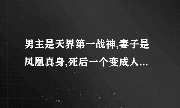 男主是天界第一战神,妻子是凤凰真身,死后一个变成人界太子,一个魂魄寄居在人？