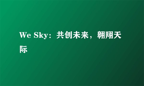 We Sky：共创未来，翱翔天际