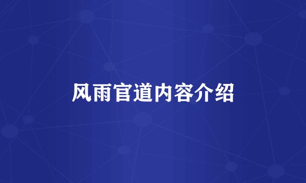 风雨官道内容介绍