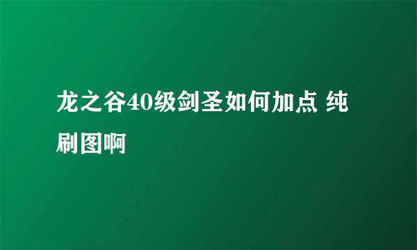 龙之谷40级剑圣如何加点 纯刷图啊
