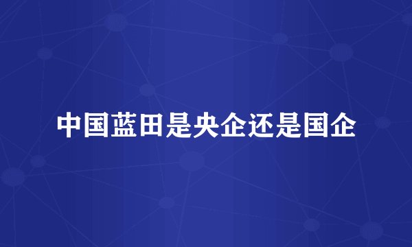 中国蓝田是央企还是国企