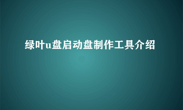 绿叶u盘启动盘制作工具介绍