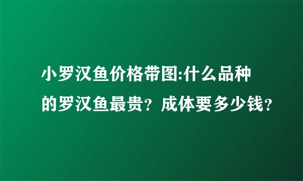 小罗汉鱼价格带图:什么品种的罗汉鱼最贵?成体要多少钱?