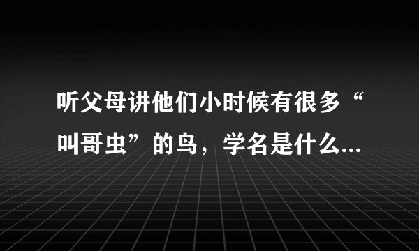 听父母讲他们小时候有很多“叫哥虫”的鸟,学名是什么?有兴趣的看看啊