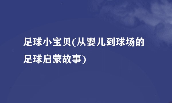 足球小宝贝(从婴儿到球场的足球启蒙故事)