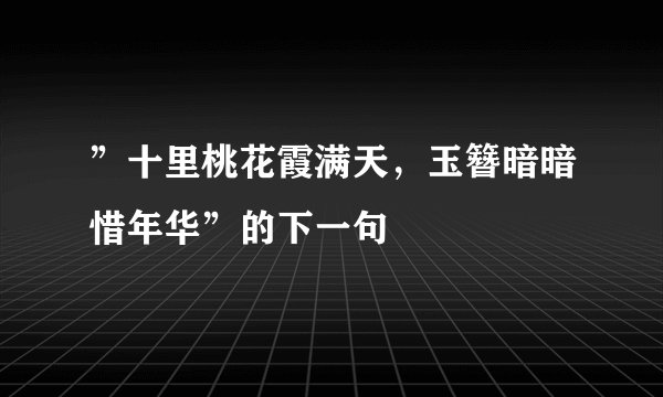 ”十里桃花霞满天,玉簪暗暗惜年华”的下一句