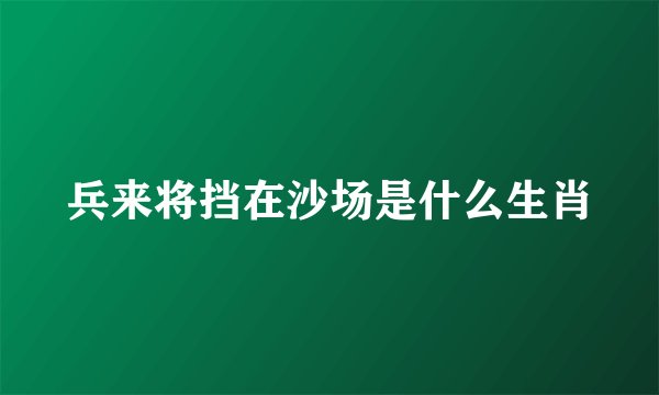 兵来将挡在沙场是什么生肖