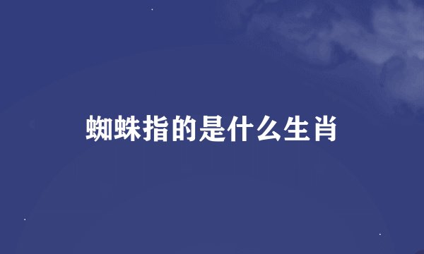 蜘蛛指的是什么生肖