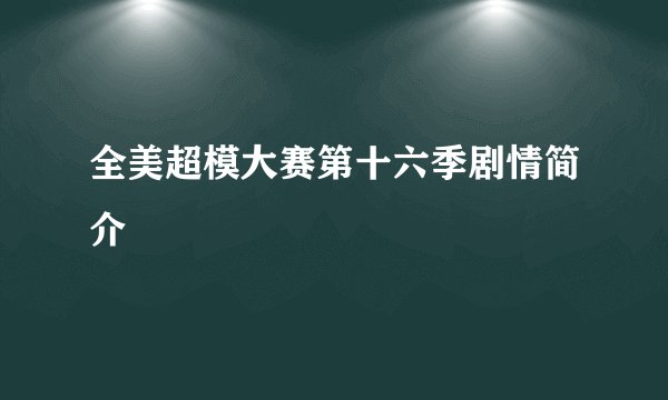 全美超模大赛第十六季剧情简介
