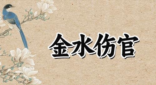 不被定义的命格——金水伤官格