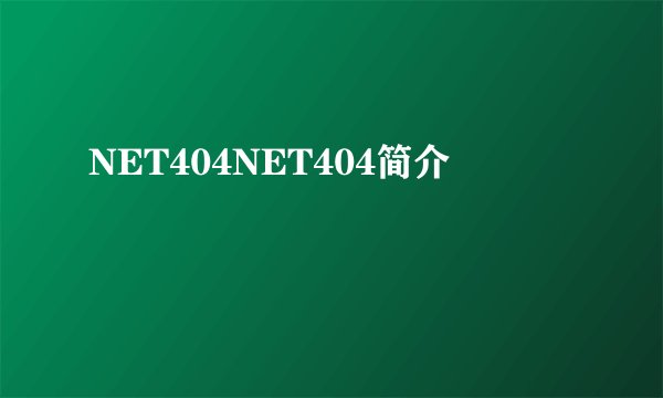 NET404NET404简介
