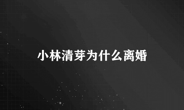小林清芽为什么离婚