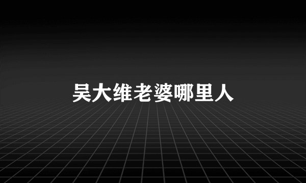 吴大维老婆哪里人