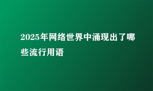 2025年网络世界中涌现出了哪些流行用语