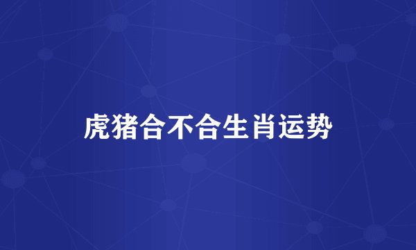 虎猪合不合生肖运势