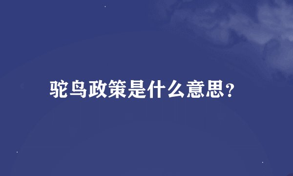 驼鸟政策是什么意思?