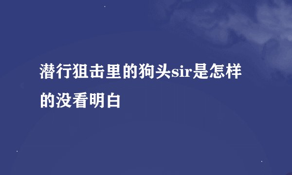 潜行狙击里的狗头sir是怎样的没看明白