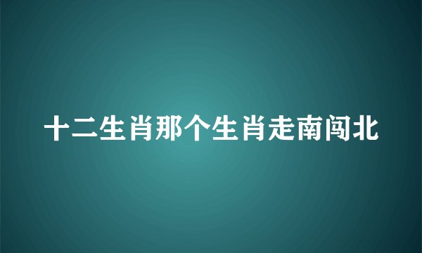 十二生肖那个生肖走南闯北