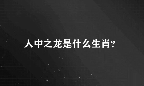 人中之龙是什么生肖？