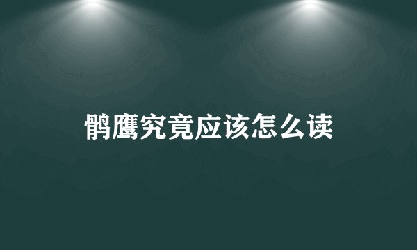 鹘鹰究竟应该怎么读