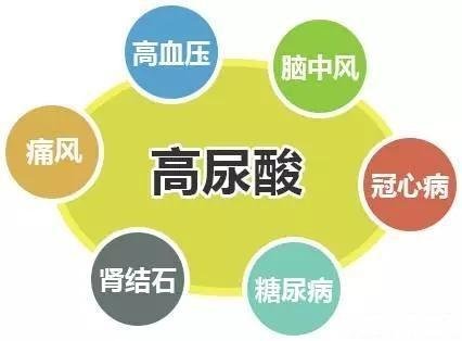 高油三脂和尿酸也高了该怎么办？
