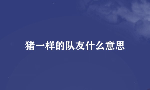 猪一样的队友什么意思