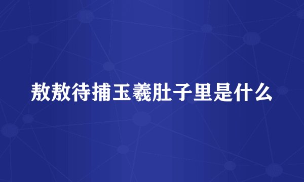 敖敖待捕玉羲肚子里是什么