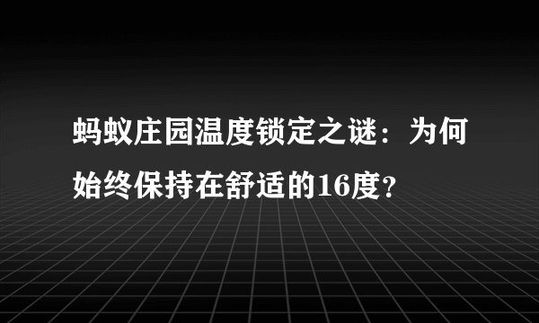 蚂蚁庄园温度锁定之谜：为何始终保持在舒适的16度？
