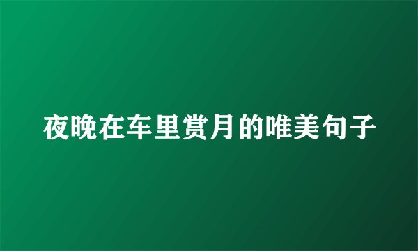 夜晚在车里赏月的唯美句子