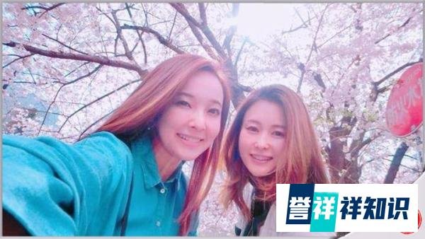 嫁到台湾的日籍女星爱纱和麻衣相继婚变，皆因台湾男不忠伤透心