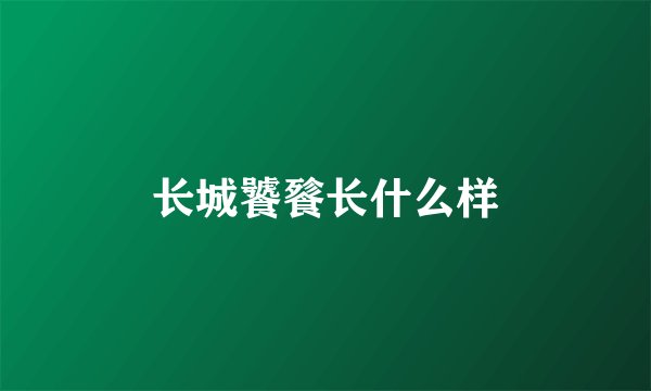 长城饕餮长什么样