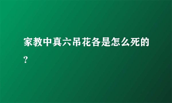 家教中真六吊花各是怎么死的？