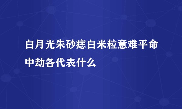 白月光朱砂痣白米粒意难平命中劫各代表什么