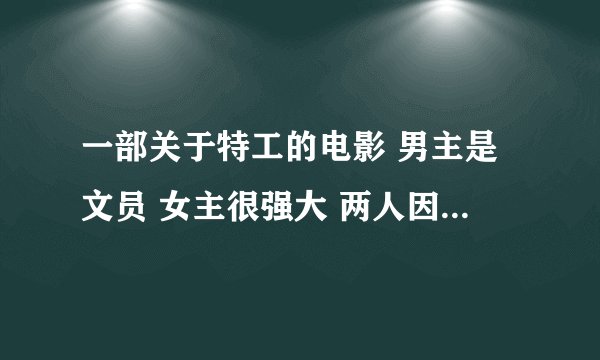 一部关于特工的电影 男主是文员 女主很强大 两人因任务而接触后相爱