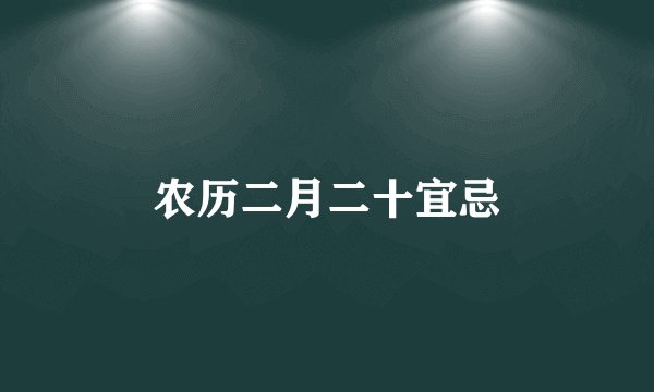 农历二月二十宜忌