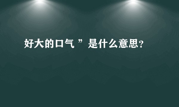 好大的口气 ”是什么意思？